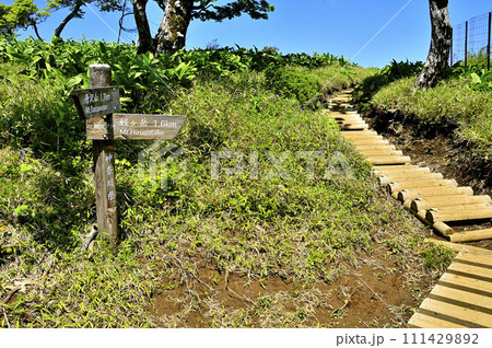 丹沢山地の棚沢ノ頭山頂　丹沢主脈を歩く 111429892