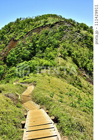 丹沢の棚沢ノ頭より望む不動の峰　丹沢主脈の縦走路 111429911