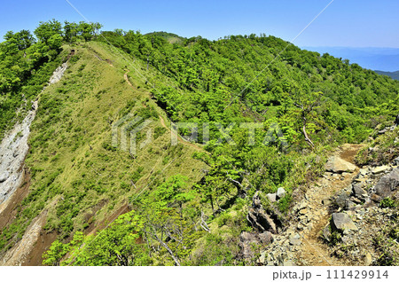 丹沢の不動ノ峰より望む緑の丹沢主脈の縦走路 棚沢ノ頭と蛭ヶ岳と鬼ヶ岩ノ頭 丹沢の不動ノ峰より望む緑の丹沢主脈の縦走路 棚沢ノ頭と蛭ヶ岳と鬼ヶ岩ノ頭 111429914