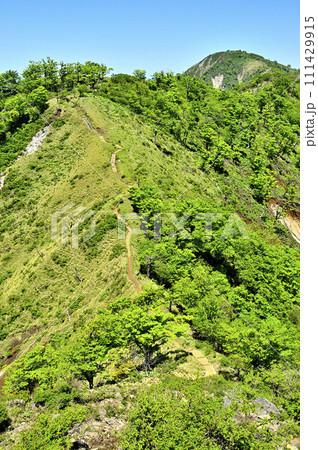 丹沢の不動ノ峰より望む緑の丹沢主脈の縦走路 棚沢ノ頭と蛭ヶ岳 丹沢の不動ノ峰より望む緑の丹沢主脈の縦走路 棚沢ノ頭と蛭ヶ岳 111429915