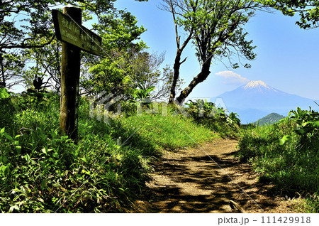 丹沢の不動ノ峰山頂にて 縦走路の先に聳える富士山 丹沢の不動ノ峰山頂にて 縦走路の先に聳える富士山 111429918