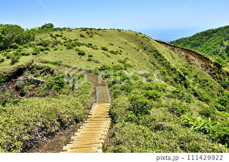 丹沢の縦走路 不動ノ峰より望む草原の箒杉沢ノ頭 丹沢の縦走路 不動ノ峰より望む草原の箒杉沢ノ頭 111429922