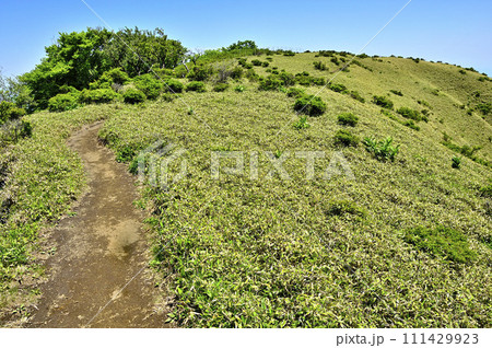 丹沢の不動ノ峰より望む箒杉沢ノ頭 草原の樹走路が続く登山道 丹沢の不動ノ峰より望む箒杉沢ノ頭 草原の樹走路が続く登山道 111429923