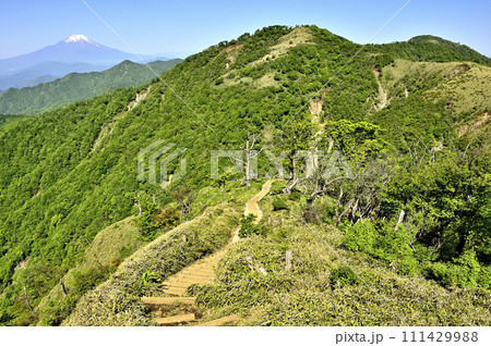 丹沢山地の丹沢山より富士山と不動ノ峰と蛭ヶ岳 111429988
