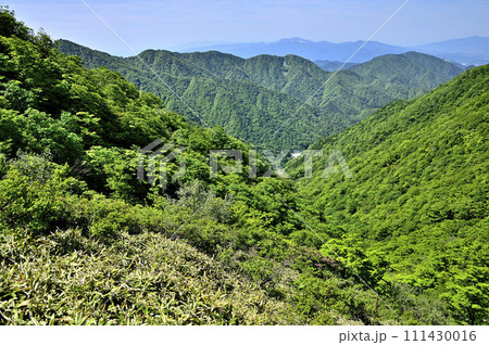 丹沢山地の丹沢山より　初夏の頃　鍋割山稜と檜岳山稜を望む 111430016