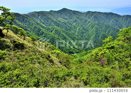丹沢山地の不動ノ峰より　表丹沢の塔ノ岳を望む 111430058