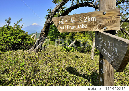 丹沢山地の丹沢山　縦走路の道標に富士山を望む 111430252