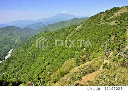 丹沢山地の丹沢山 丹沢主脈より富士山を望む 丹沢山地の丹沢山 丹沢主脈より富士山を望む 111430254