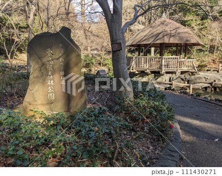 大寒の前日の東高根森林公園の風景 大寒の前日の東高根森林公園の風景 111430271