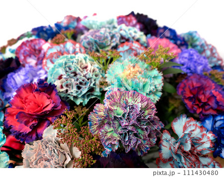 カラフルな染めカーネーション 111430480