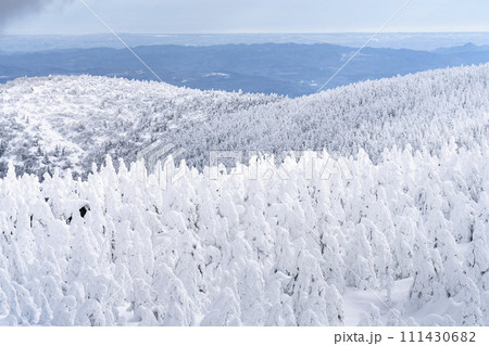 山形蔵王の樹氷　山形県山形市 111430682