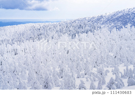 山形蔵王の樹氷 山形県山形市 山形蔵王の樹氷 山形県山形市 111430683