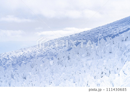 山形蔵王の樹氷　山形県山形市 111430685