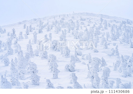 山形蔵王の樹氷　山形県山形市 111430686