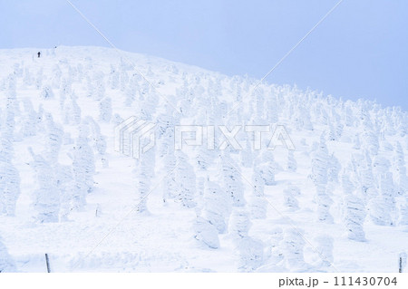 山形蔵王の樹氷　山形県山形市 111430704