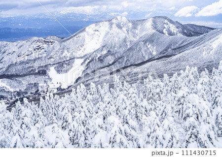 山形蔵王の樹氷　山形県山形市 111430715