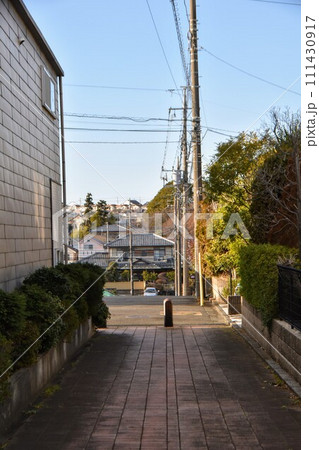 立春前の横浜市北部の遊歩道の風景 立春前の横浜市北部の遊歩道の風景 111430917