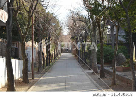 立春前の横浜市北部の遊歩道の風景 111430918