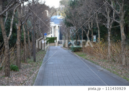 立春前の横浜市北部の遊歩道の風景 立春前の横浜市北部の遊歩道の風景 111430929