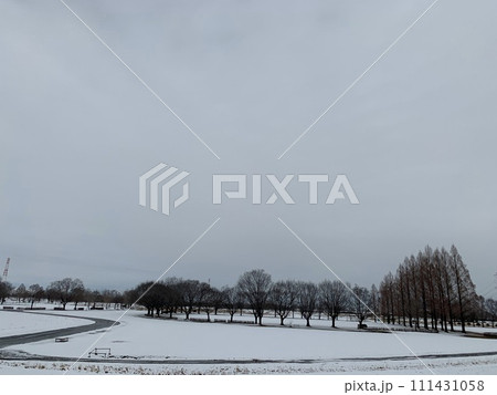 雪の降った朝の公園 111431058