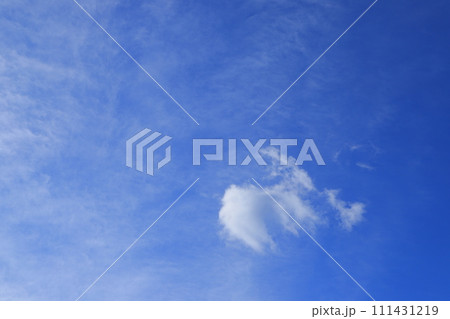青空に浮かぶ雲 111431219