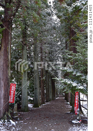 冬の眼目山立山寺のトガ並木(富山県上市町) 111431405