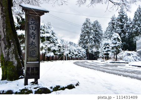 冬の眼目山立山寺のトガ並木(富山県上市町) 111431409