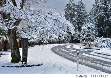 冬の眼目山立山寺のトガ並木(富山県上市町) 111431437