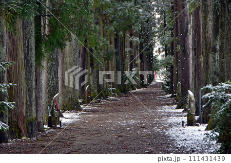 冬の眼目山立山寺のトガ並木(富山県上市町) 111431439