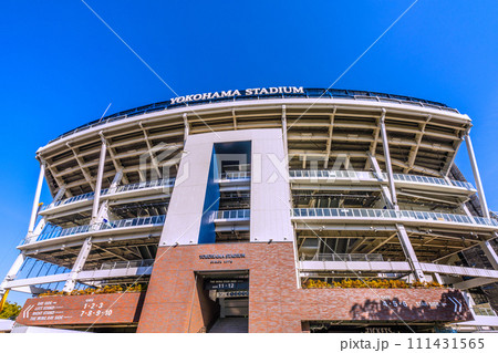 日本の横浜都市景観　横浜スタジアムなどを望む 111431565