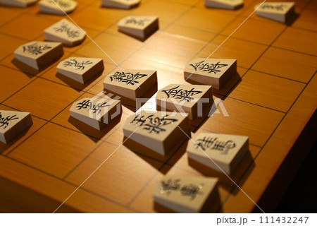将棋の73期王将戦第4局投了棋譜二 111432247