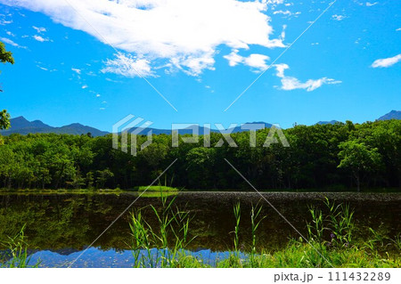 夏の北海道、最果ての地・知床半島で味わう知床五胡ネイチャーウォーク 夏の北海道、最果ての地・知床半島で味わう知床五胡ネイチャーウォーク 111432289