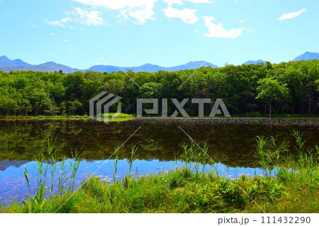 夏の北海道、最果ての地・知床半島で味わう知床五胡ネイチャーウォーク 夏の北海道、最果ての地・知床半島で味わう知床五胡ネイチャーウォーク 111432290