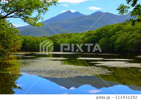 夏の北海道、最果ての地・知床半島で味わう知床五胡ネイチャーウォーク 夏の北海道、最果ての地・知床半島で味わう知床五胡ネイチャーウォーク 111432292