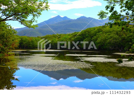 夏の北海道、最果ての地・知床半島で味わう知床五胡ネイチャーウォーク 夏の北海道、最果ての地・知床半島で味わう知床五胡ネイチャーウォーク 111432293