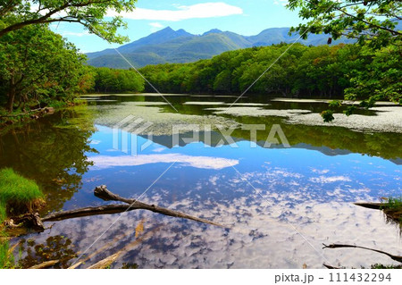 夏の北海道、最果ての地・知床半島で味わう知床五胡ネイチャーウォーク 夏の北海道、最果ての地・知床半島で味わう知床五胡ネイチャーウォーク 111432294