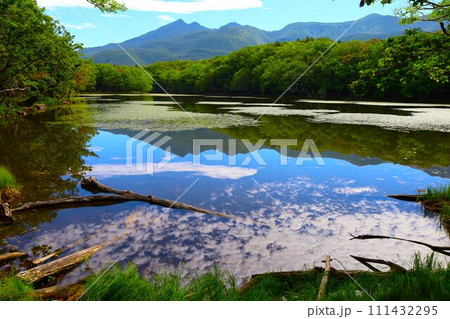 夏の北海道、最果ての地・知床半島で味わう知床五胡ネイチャーウォーク 夏の北海道、最果ての地・知床半島で味わう知床五胡ネイチャーウォーク 111432295