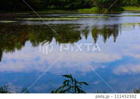 夏の北海道、最果ての地・知床半島で味わう知床五胡ネイチャーウォーク 111432302
