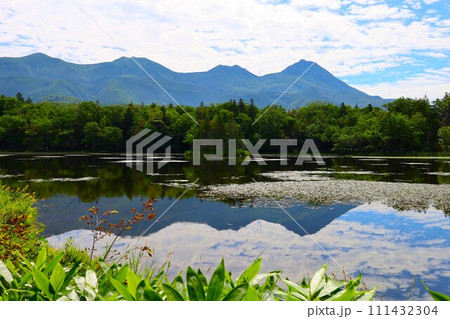 夏の北海道、最果ての地・知床半島で味わう知床五胡ネイチャーウォーク 111432304
