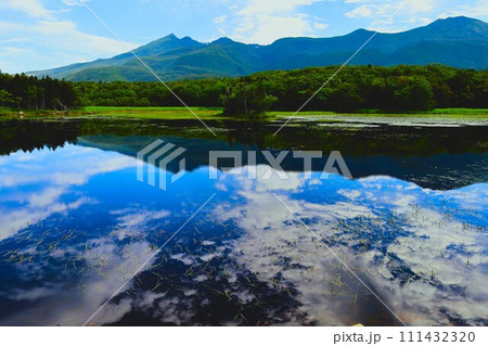 夏の北海道、最果ての地・知床半島で味わう知床五胡ネイチャーウォーク 111432320