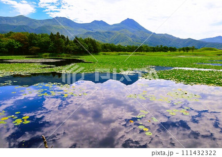 夏の北海道、最果ての地・知床半島で味わう知床五胡ネイチャーウォーク 夏の北海道、最果ての地・知床半島で味わう知床五胡ネイチャーウォーク 111432322