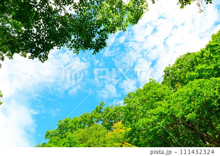 夏の北海道、最果ての地・知床半島で味わう知床五胡ネイチャーウォーク 111432324