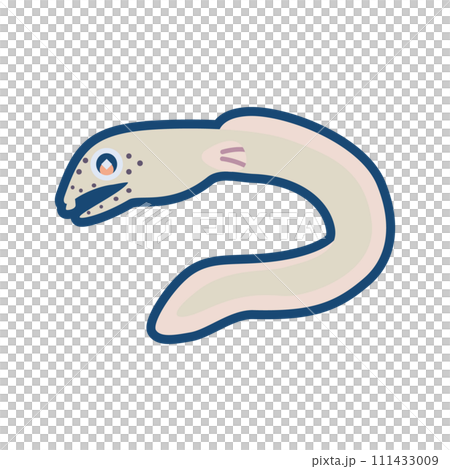 かわいいトンガリホタテウミヘビのイラスト かわいいトンガリホタテウミヘビのイラスト 111433009