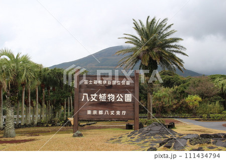 八丈島 八丈植物公園 八丈富士 東京都 八丈島 八丈植物公園 八丈富士 東京都 111434794
