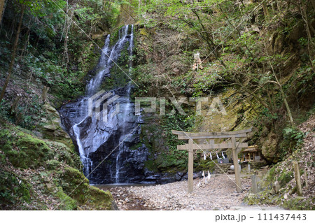 速開都比売神社「龍神・水神・山神」 速開都比売神社「龍神・水神・山神」 111437443
