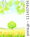 新緑の風景。 111437456