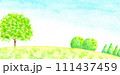 丘の上の木。 111437459