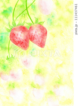 いちご。 111437461