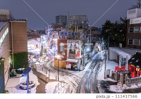 《東京都》雪景色の東京下町・2024年2月5日大雪の東京 111437566