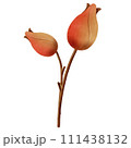 lunar newyear Chineseclip art red Chinese	 111438132
